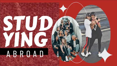 Color Palettes - Firebrick and White Color Scheme