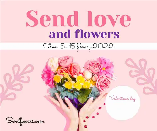Color Palettes - Mistyrose and Lightcoral Color Scheme Color Palettes - Mistyrose and Lightcoral Color Scheme