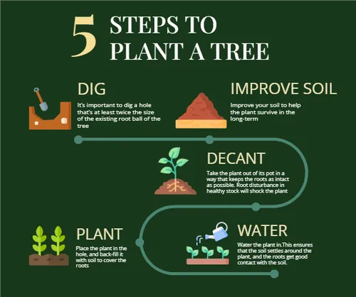 Color Palettes - Darkgreen and White Color Scheme