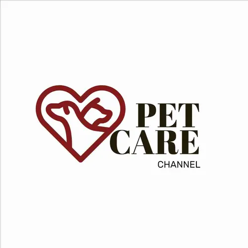 Color Palettes - White and Brown Color Scheme