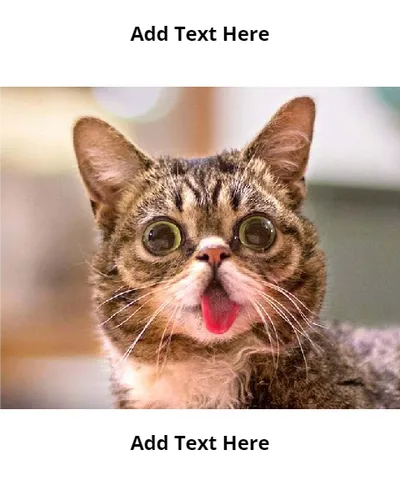 Color Palettes - White and Gray Color Scheme