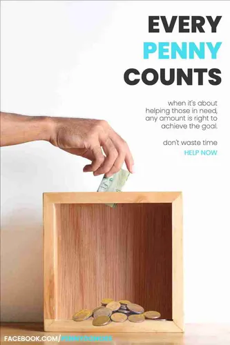 Color Palettes - White and Rosybrown Color Scheme Color Palettes - White and Rosybrown Color Scheme